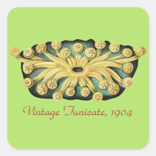 Ernst Haeckel Nautical Yellow Sunburst Art Square Sticker