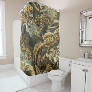 Ernst Haeckel old fashion illustration Lacertilia Shower Curtain