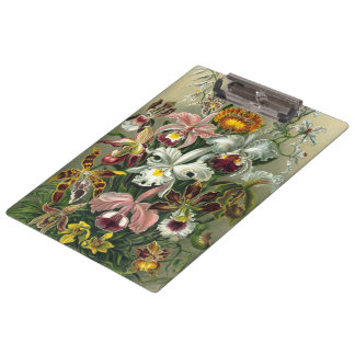 Ernst Haeckel Orchids, Vintage Rainforest Flowers Clipboard