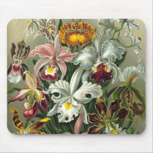 Ernst Haeckel Orchids, Vintage Rainforest Flowers Mouse Mat