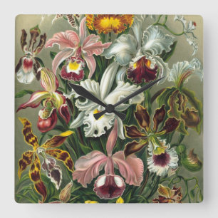 Ernst Haeckel Orchids, Vintage Rainforest Flowers Square Wall Clock