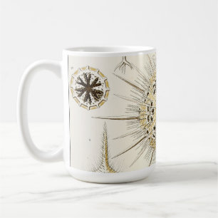 Ernst Haeckel Phaeodaria Coffee Mug