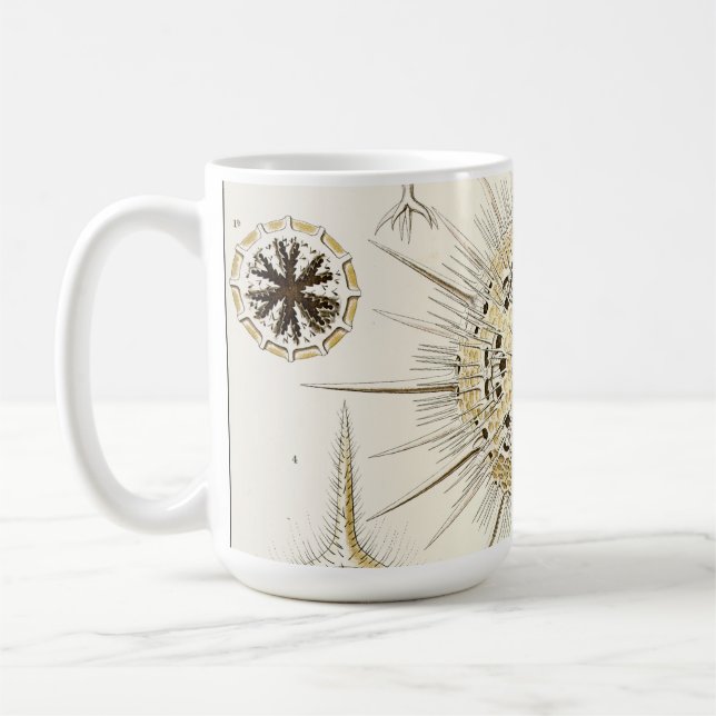 Ernst Haeckel Phaeodaria Coffee Mug (Left)