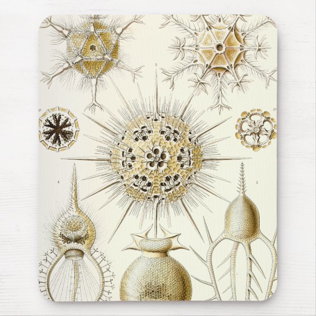 Ernst Haeckel Phaeodaria Mouse Mat (Front)