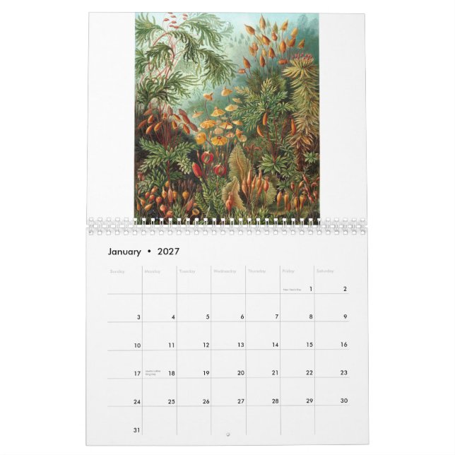 Ernst Haeckel Prints Calendar (Jan 2027)