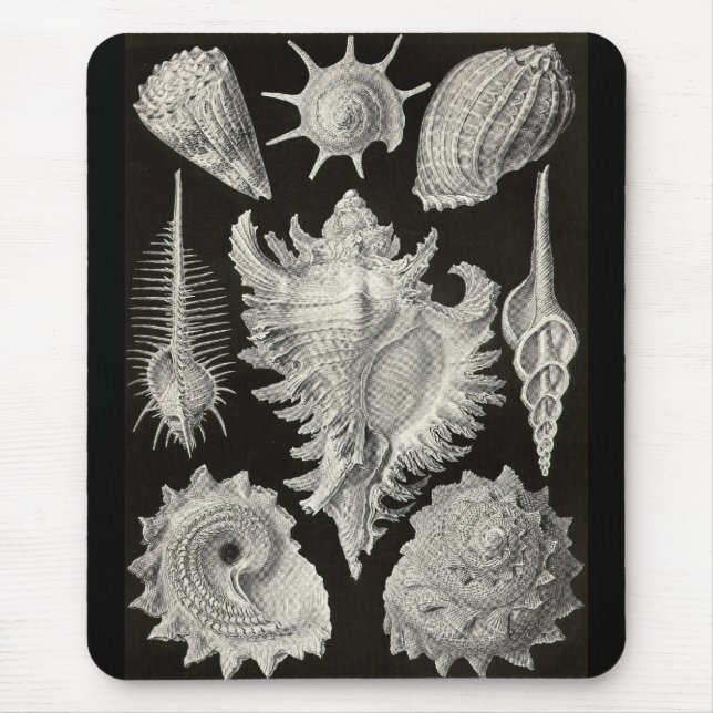 Ernst Haeckel - Prosobranchia Mouse Mat (Front)