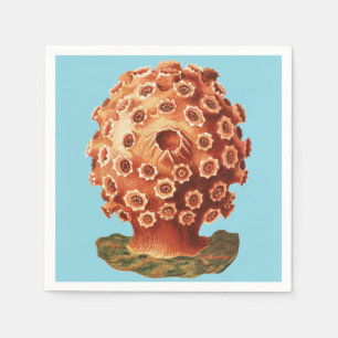 Ernst Haeckel Red Coral Nautical Sea Life Napkin