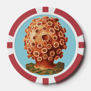 Ernst Haeckel Red Coral Nautical Sea Life Poker Chips