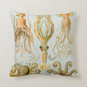 Ernst Haeckel’s Gamochonia Cushion