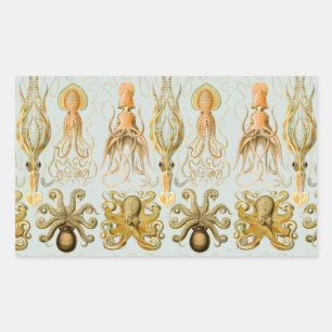 Ernst Haeckel’s Gamochonia Rectangular Sticker
