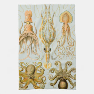 Ernst Haeckel’s Gamochonia Tea Towel