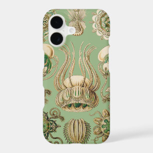 Ernst Haeckel’s Narcomedusae