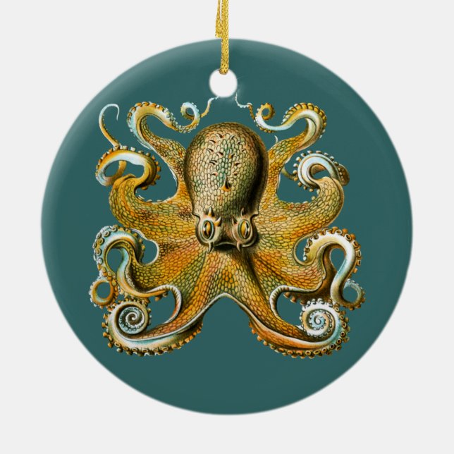 Ernst Haeckel’s Octopus Ceramic Tree Decoration (Back)
