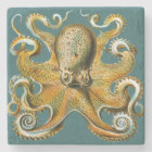 Ernst Haeckel’s Octopus