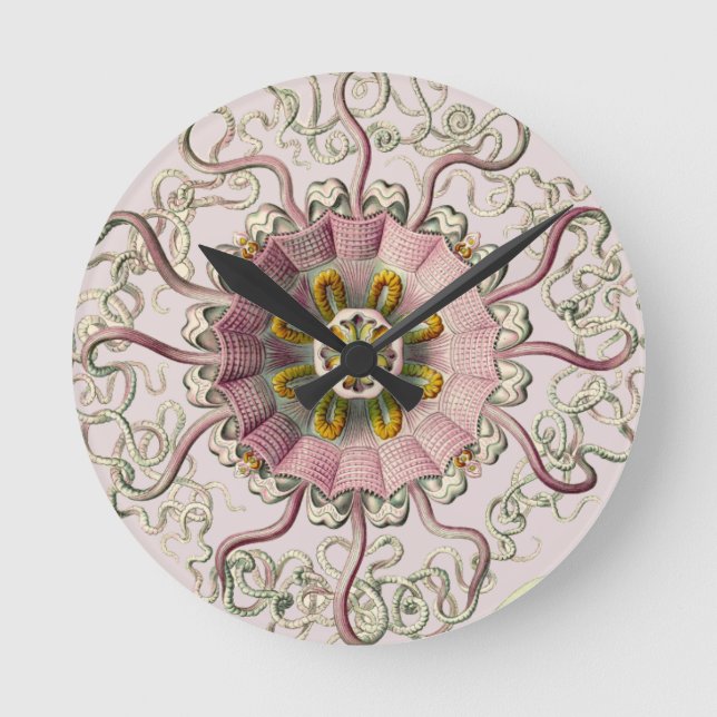 Ernst Haeckel’s Peromedusae Round Clock (Front)