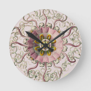 Ernst Haeckel’s Peromedusae Round Clock