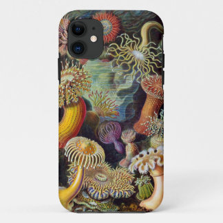 Ernst Haeckel  Sea anemones iPhone 11 Case