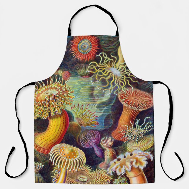 Ernst Haeckel Sea Anemones Marine:Actiniae  Apron (Front)