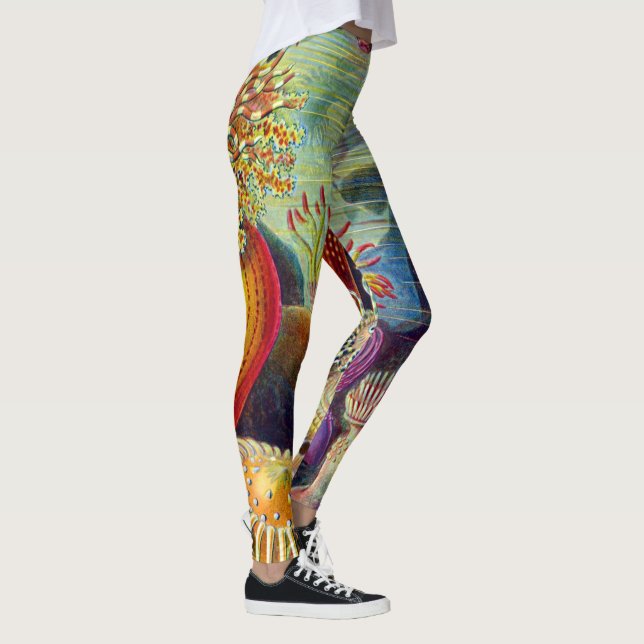 Ernst Haeckel Sea Anemones Marine:Actiniae Leggings (Right)