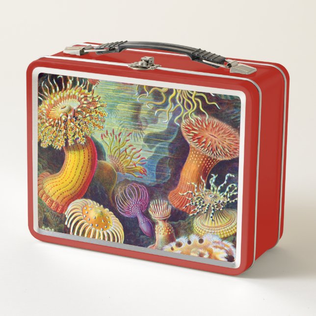 Ernst Haeckel Sea Anemones Marine:Actiniae Metal Lunch Box (Front)
