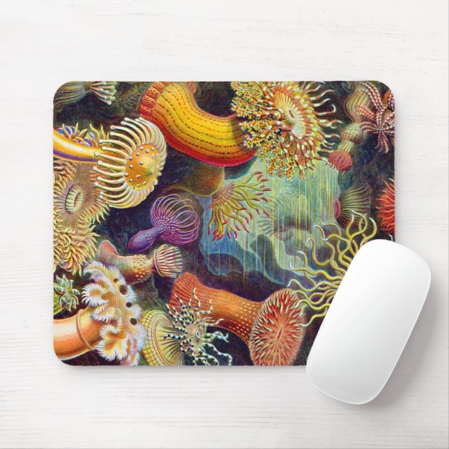 Ernst Haeckel Sea Anemones Marine:Actiniae Mouse Mat (With Mouse)