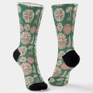 Ernst Haeckel Sea Life Pink Jellyfish Green Poster Socks