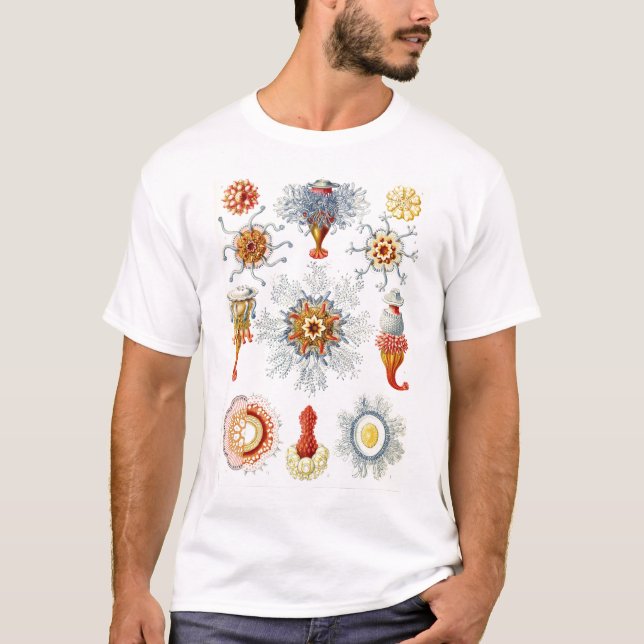 Ernst Haeckel - Siphonophorae2 Tshirt (Front)