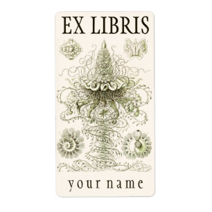 Ernst Haeckel Siphonophorae Bookplate