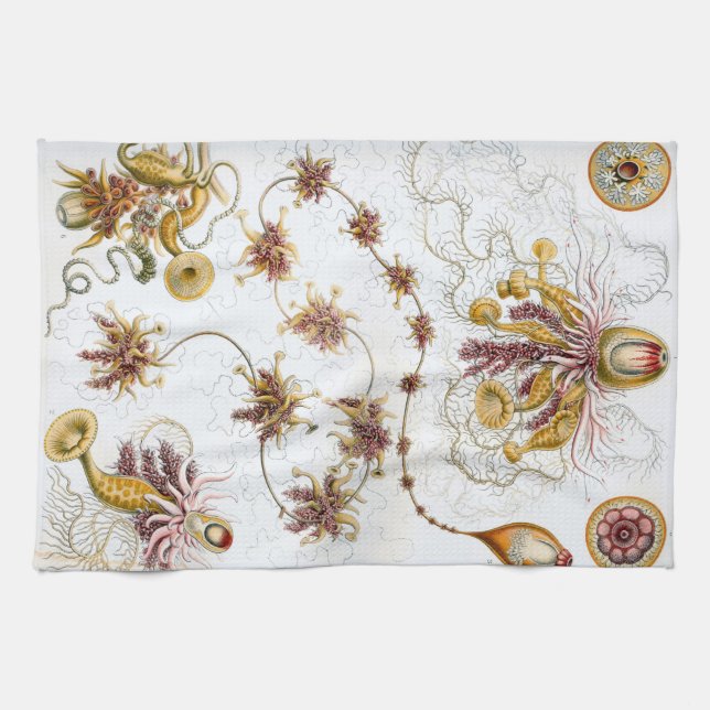 Ernst Haeckel Siphonophorae Jellyfish Tea Towel (Horizontal)