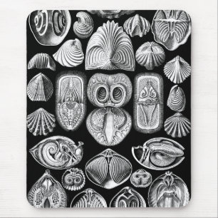 Ernst Haeckel Spirobranchia Mouse Mat