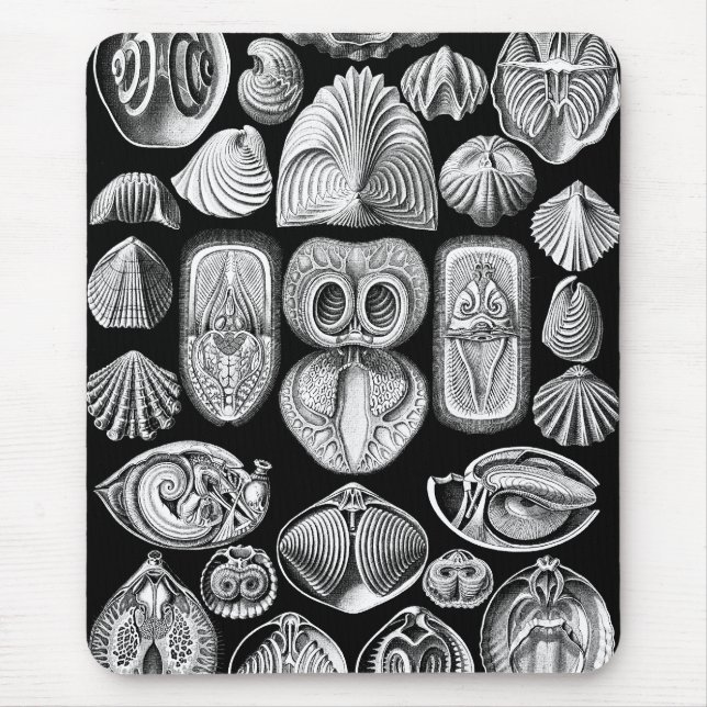 Ernst Haeckel Spirobranchia Mouse Mat (Front)
