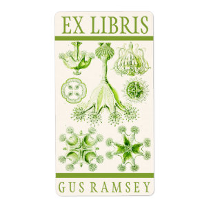 Ernst Haeckel Stauromedusae Bookplate