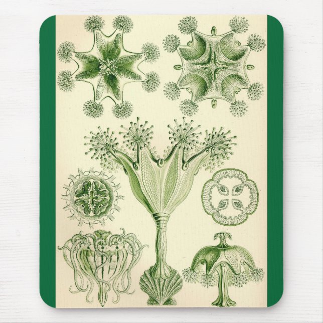 Ernst Haeckel - Stauromedusae Jellyfish Mouse Mat (Front)