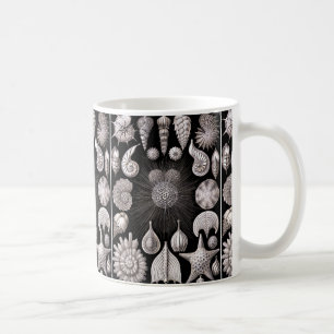 Ernst Haeckel Thalamophora I Coffee Mug