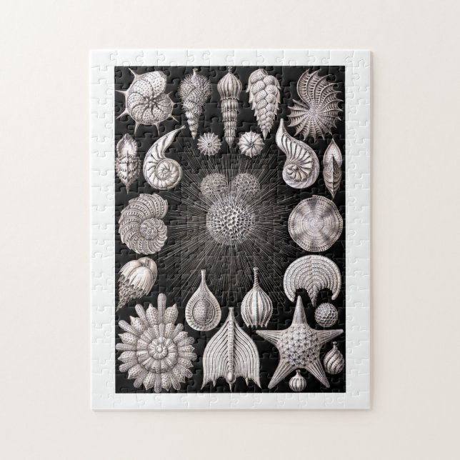 Ernst Haeckel Thalamophora I Jigsaw Puzzle (Vertical)