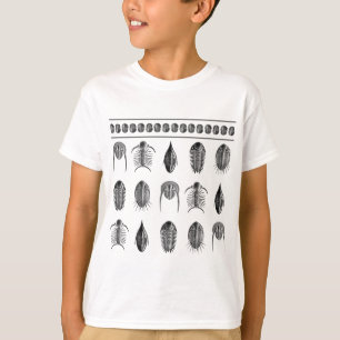 Ernst Haeckel Trilobite Pattern - large T-Shirt