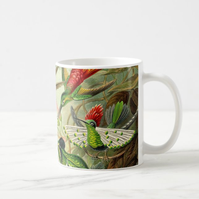 Ernst Haeckel Trochilidae Hummingbird Coffee Mug (Right)