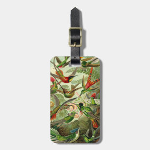 Ernst Haeckel Trochilidae Hummingbird Luggage Tag