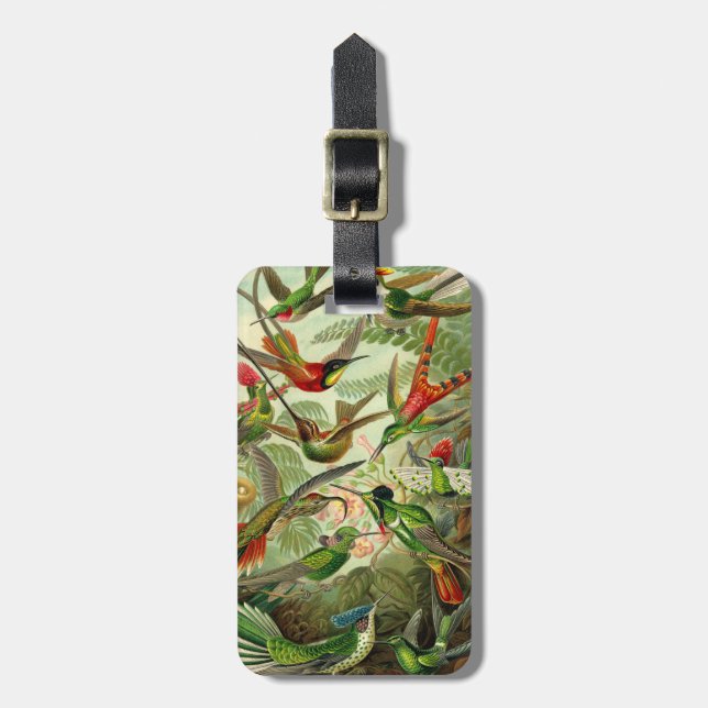 Ernst Haeckel Trochilidae Hummingbird Luggage Tag (Front Vertical)