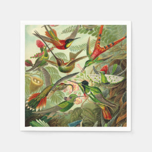 Ernst Haeckel Trochilidae Hummingbird Napkin