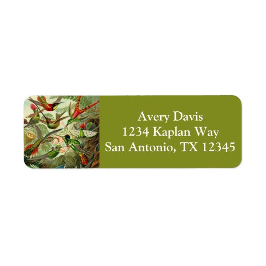 Ernst Haeckel Trochilidae Hummingbird Return Address Label