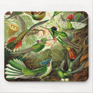Ernst Haeckel - Trochilidae Hummingbirds Detail2 Mouse Mat