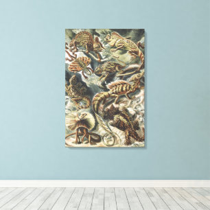 Ernst Haeckel Vintage Reptile Lizard Nature Art Canvas Print