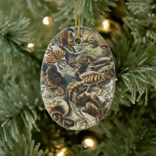 Ernst Haeckel Vintage Reptile Lizard Nature Art Ceramic Tree Decoration