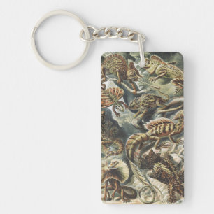 Ernst Haeckel Vintage Reptile Lizard Nature Art Key Ring
