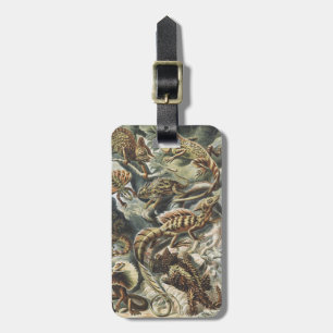 Ernst Haeckel Vintage Reptile Lizard Nature Art Luggage Tag