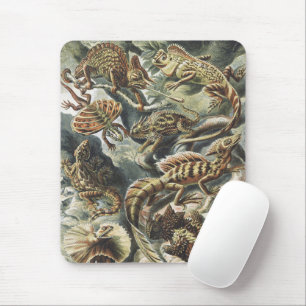 Ernst Haeckel Vintage Reptile Lizard Nature Art Mouse Mat