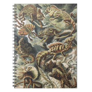 Ernst Haeckel Vintage Reptile Lizard Nature Art Notebook