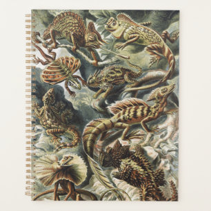 Ernst Haeckel Vintage Reptile Lizard Nature Art Planner