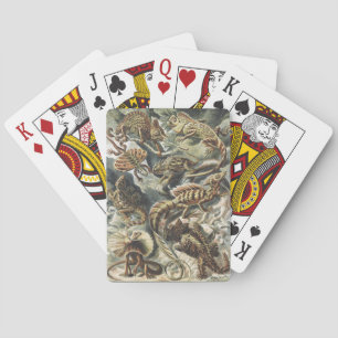 Ernst Haeckel Vintage Reptile Lizard Nature Art Playing Cards